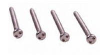 2 Tamper-resistant Stainless Steel Screws (snake-eye) 4pk