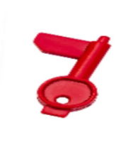 Test Keys For GFE-MCPE (Pack of 10)