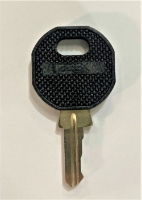 Spare Door Key For MX & Elan Control Panels