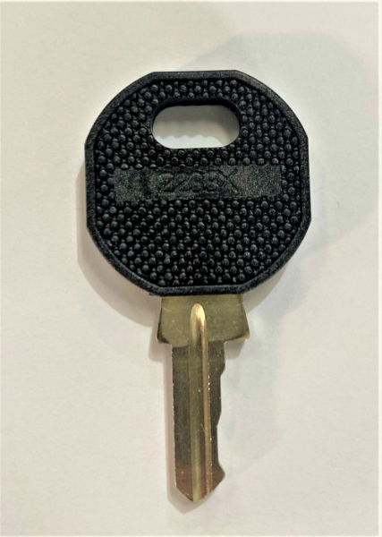 Spare Door Key For MX & Elan Control Panels